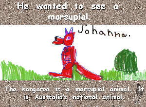 Marsupial by Johanna